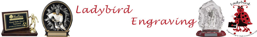 Port Alberni Web Design Ladybird