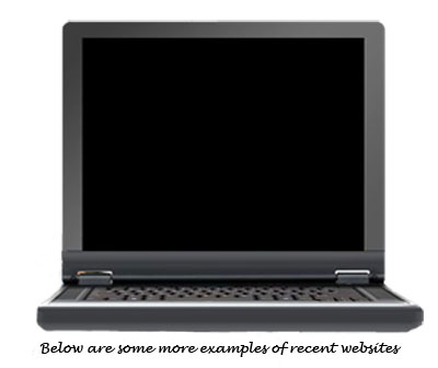 computer ladybird web design