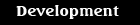 development Ladybird Web Design