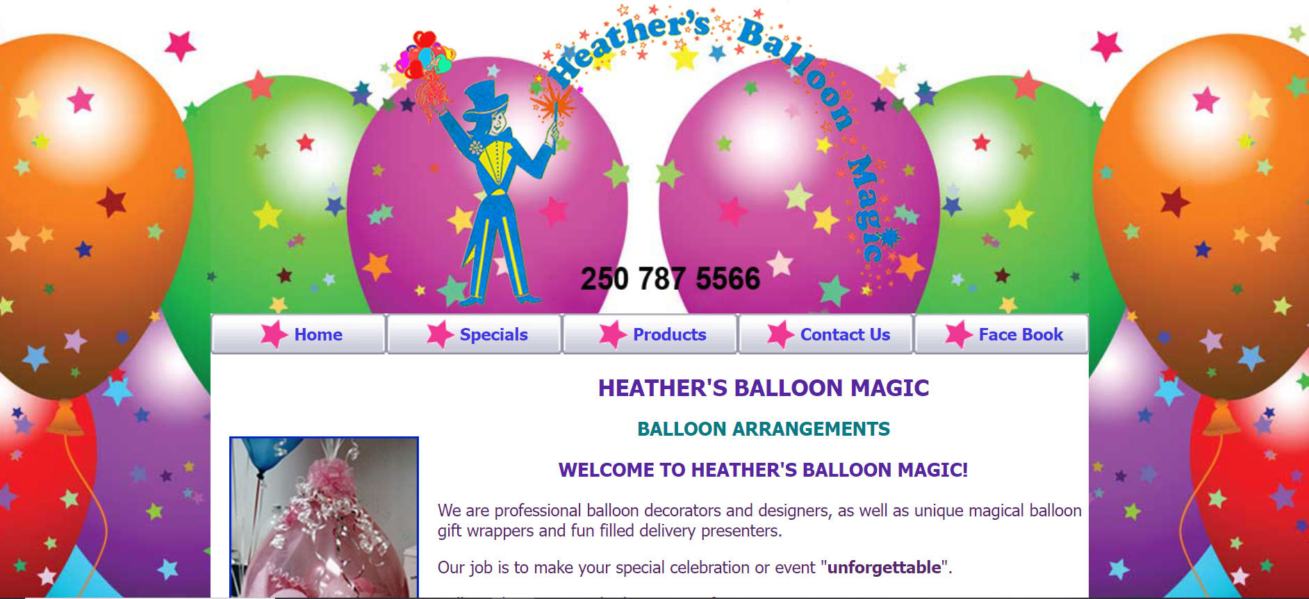 heathers balloon magic ladybird web design port alberni