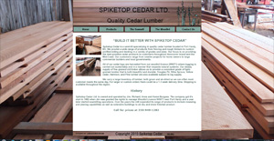 spiketopcedar.com