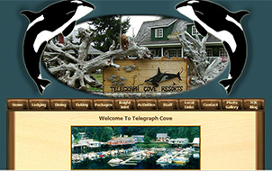 ladybirdwebdesign port alberni